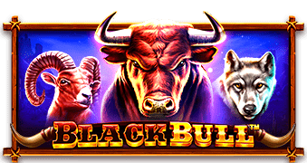 Black Bull